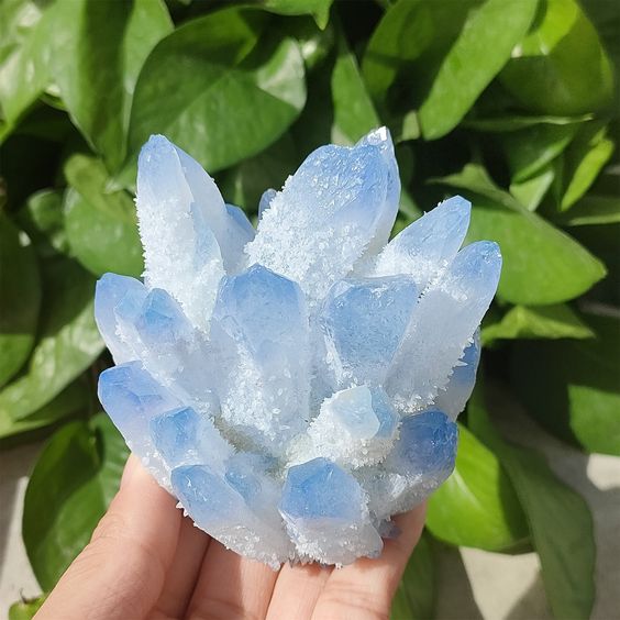 Blue Phantom Quartz Cluster