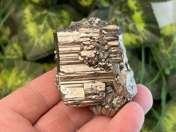 Pyrite Elite Clusters
