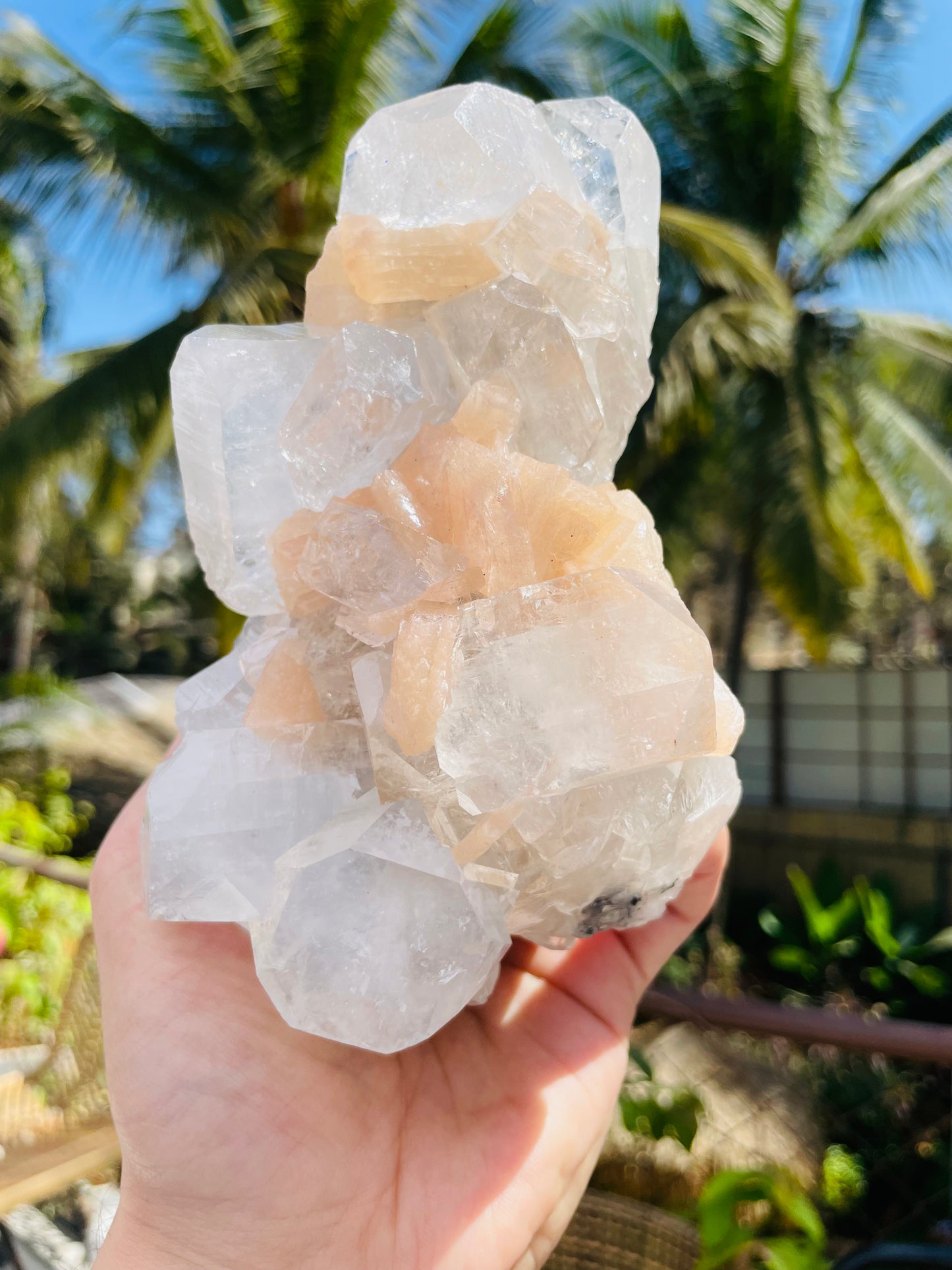 Apophylite Cluster