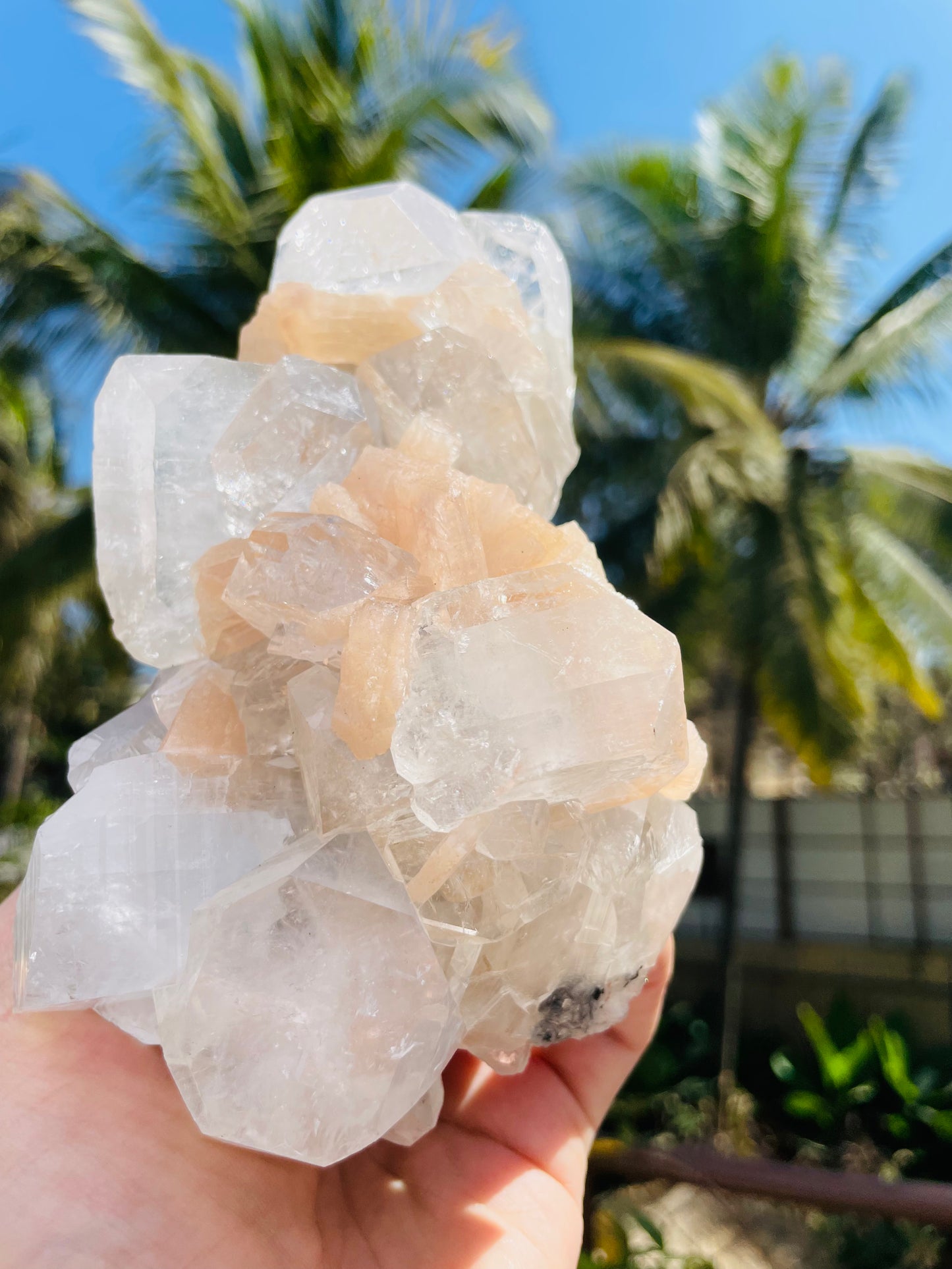 Apophylite Cluster