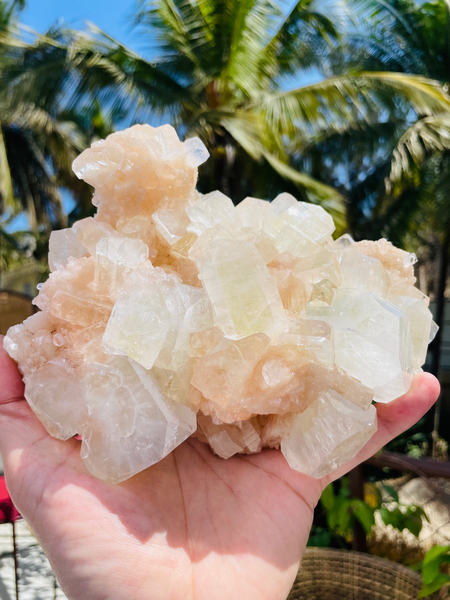 Apophylite Cluster