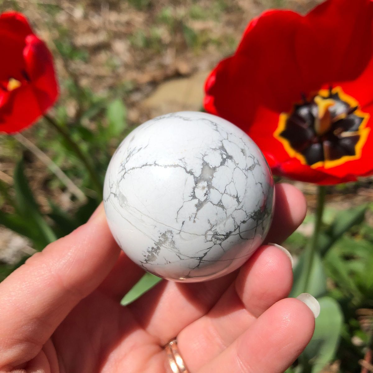 Howlite Sphere (Small)