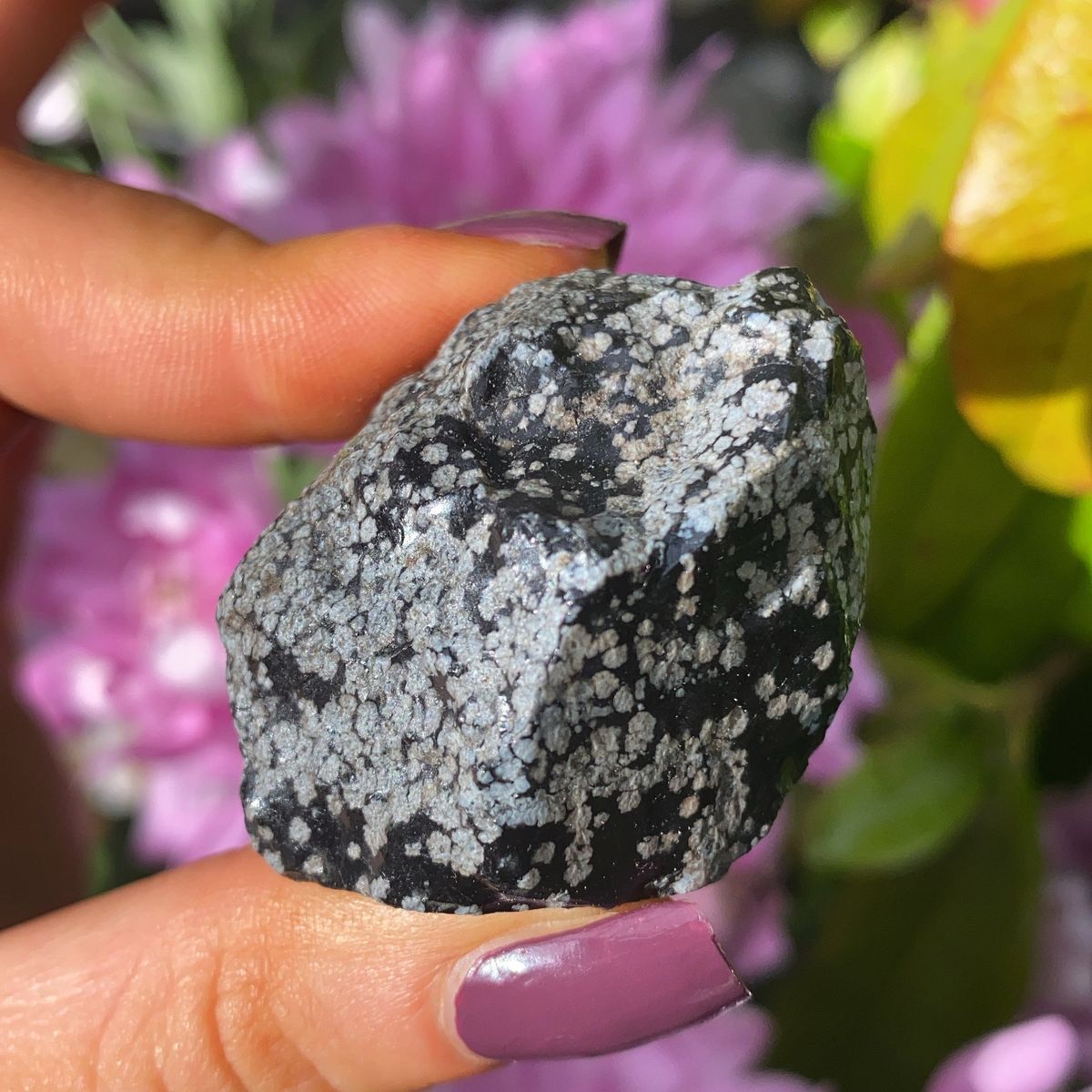 Snowflake Obsidian Rough Crystal