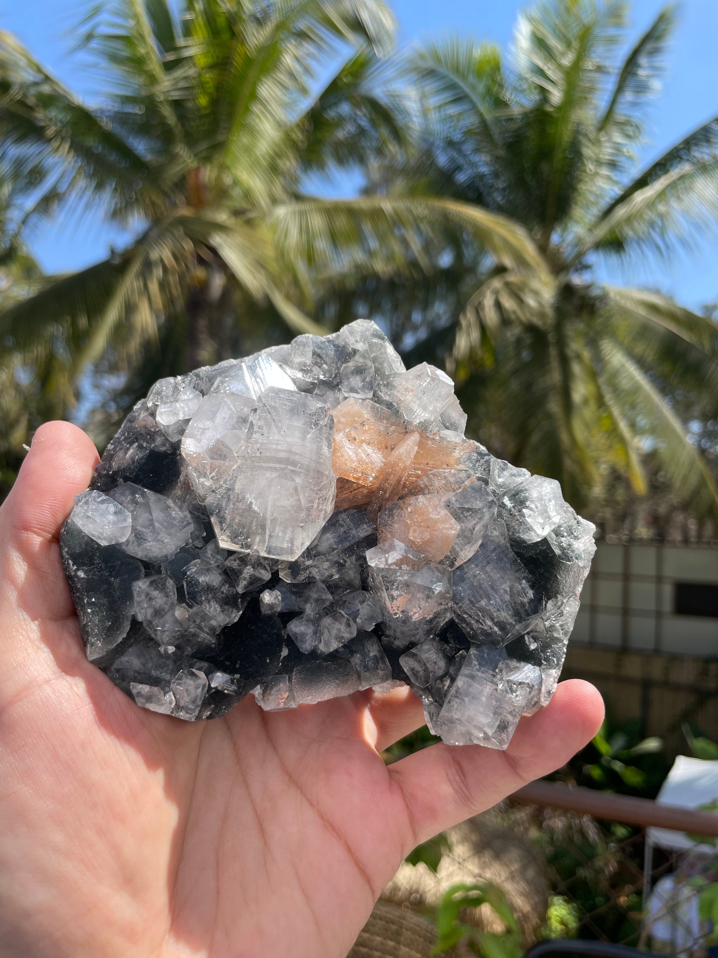 Apophylite Cluster