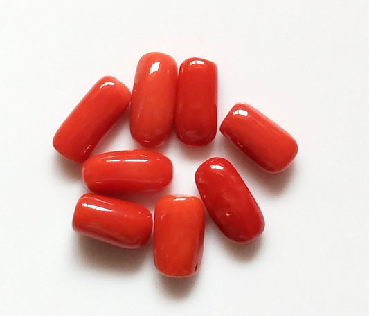 Japanese Red Coral