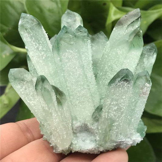 Green Quartz Cluster