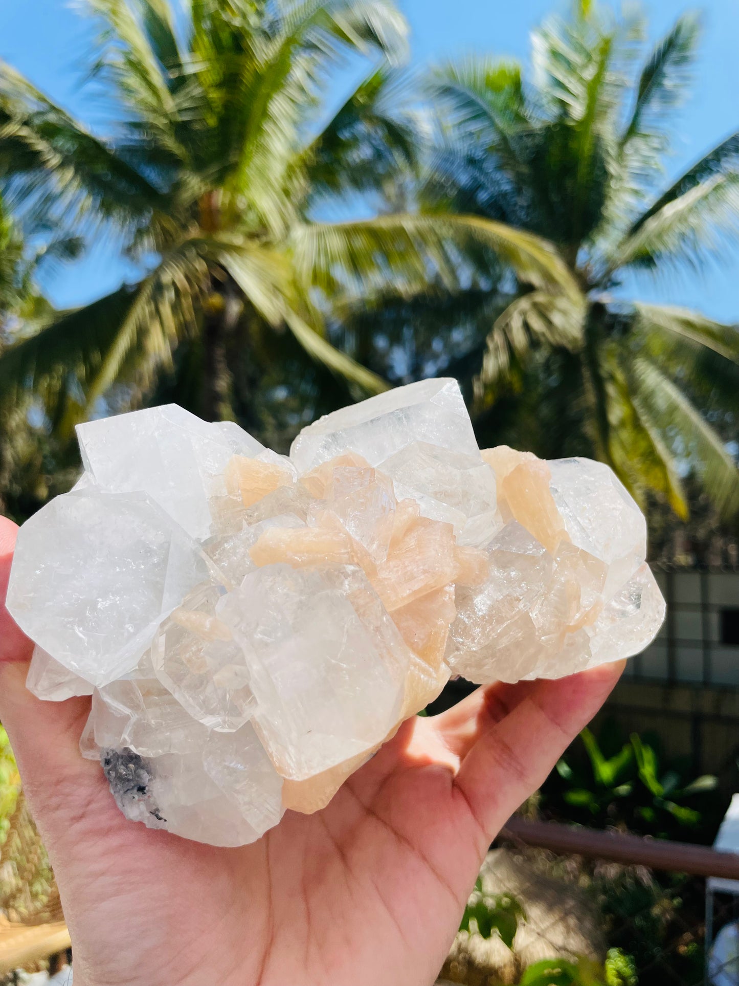 Apophylite Cluster