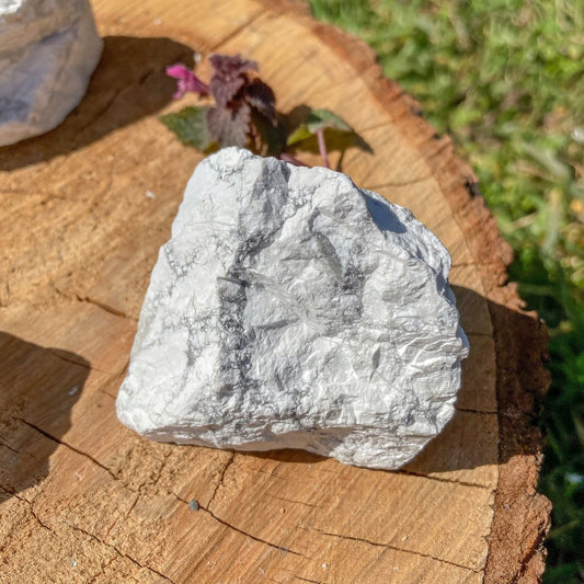 Howlite Rough Small Crystals