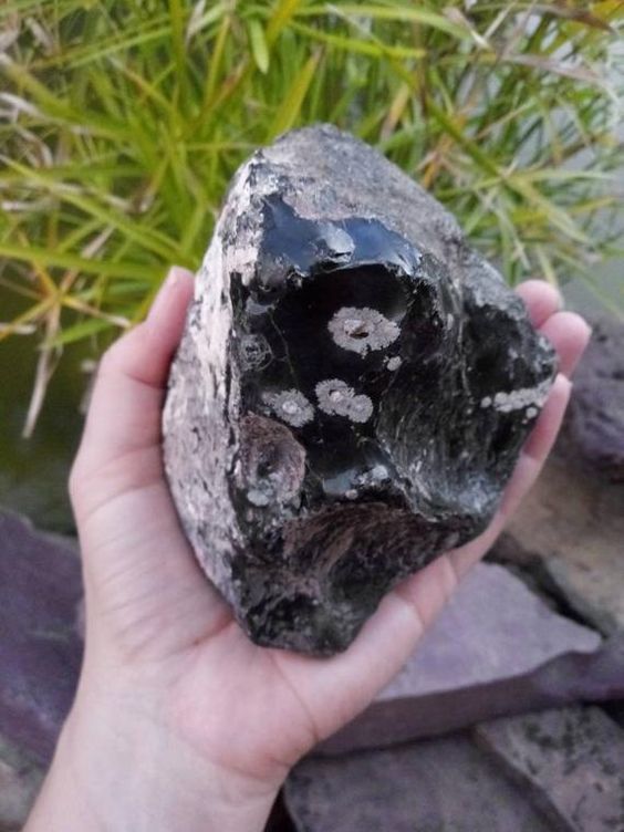 Snow Flake Obisidian Rough Crystal