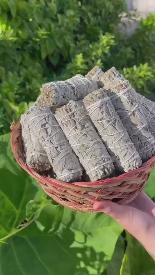 Californian White Sage